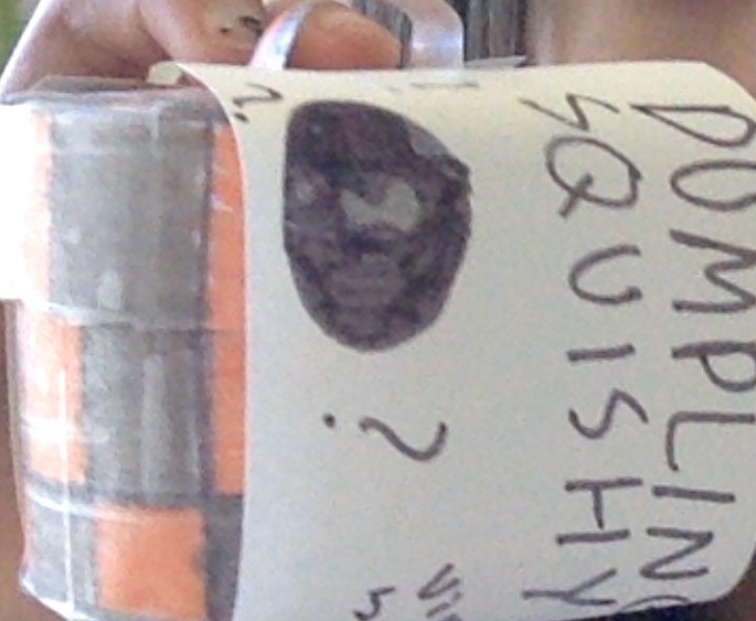 Mystery dumpling squishy