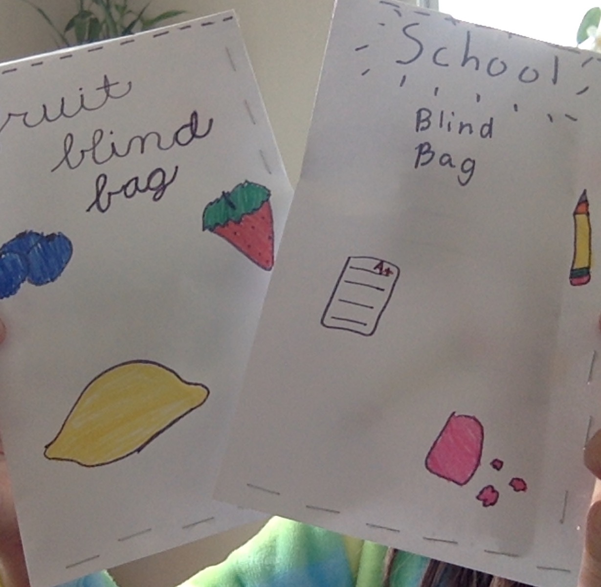 Mystery blind bag